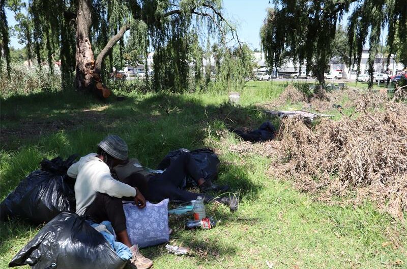 A group of men with their personal belongings sitting under a tree in a park