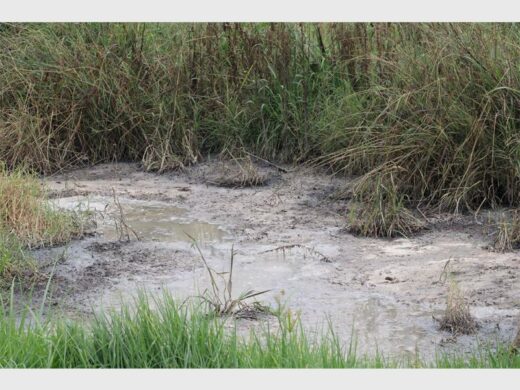 sewage spill