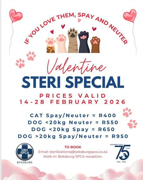 They are offering discounted spay and neuter procedures for cats and dogs from 14 to 28 February.