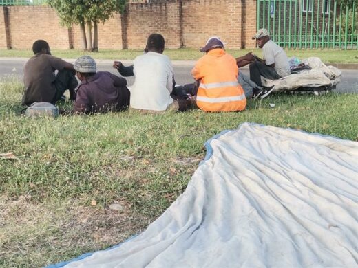 a group of black men sitting under a tree in the park