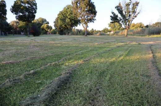 A recently mowed public park in Atlasville.