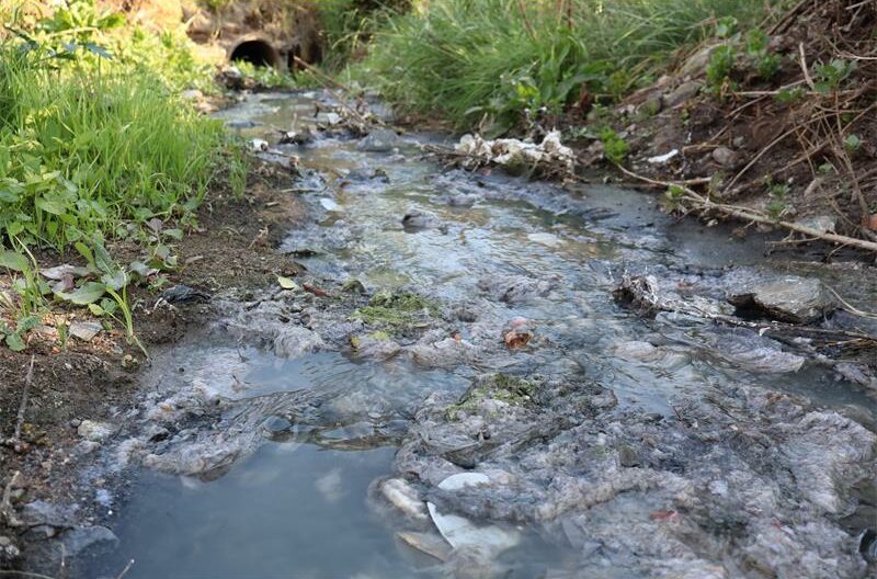 sewage spill in Boksburg