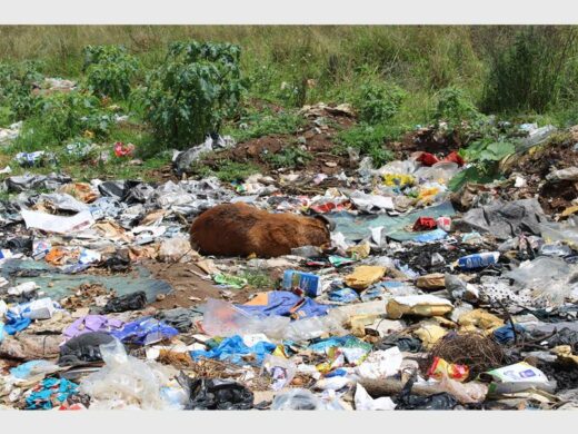 Illegally dumped rubbish consisting of household waste and business waste