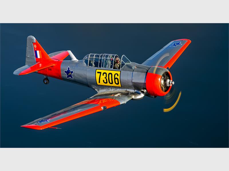 Boksburg Camera Club members share their best shots for February. To find out more about what they do, where they meet and how you can join go to www.boksburgcameraclub.co.za.