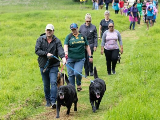 a group of people walking with their dogs on a leash in a park