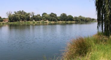 a dam full of water and surrounded by overgrown trees