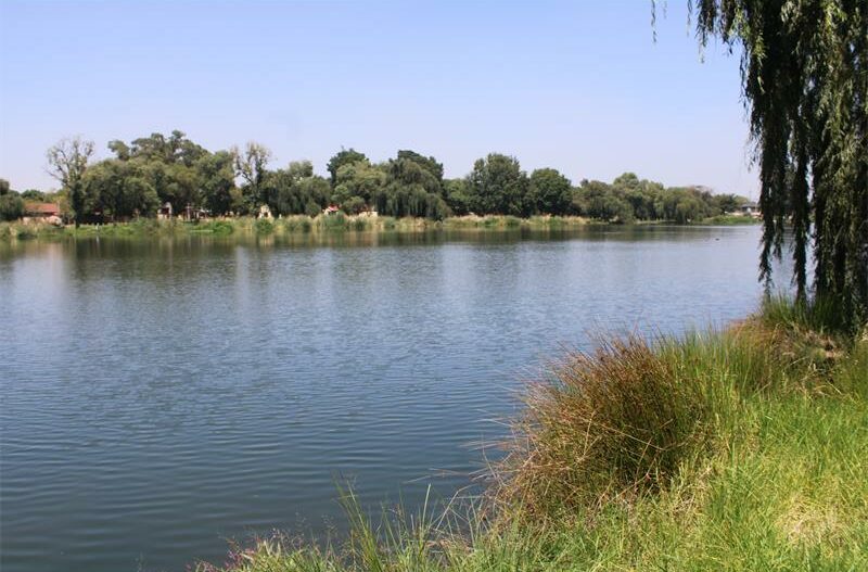 a dam full of water and surrounded by overgrown trees