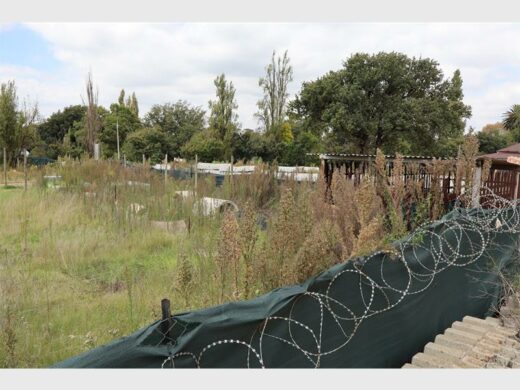 a construction site with container offices in an overgrown veld
