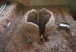 An ancient smelter located at Melville Koppies.