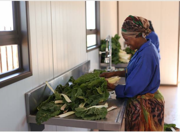 Benoni's Agricultural sector fights against unemployment and food insecurity