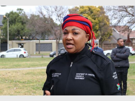 A WOMAN ADDRESSING   PEOPLE