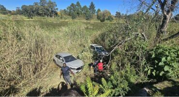 The vehicles landed in the reeds on the banks of Middle Dam, which runs adjacent to the N12 highway. Photo: NoJack Vehicle Tracking