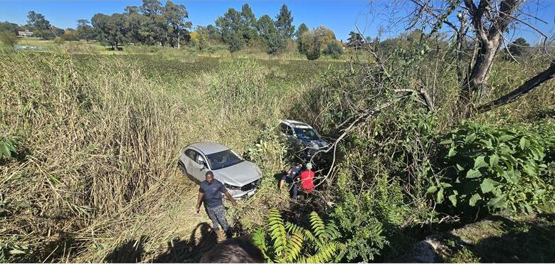 The vehicles landed in the reeds on the banks of Middle Dam, which runs adjacent to the N12 highway. Photo: NoJack Vehicle Tracking