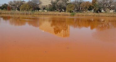 discoloured lake water