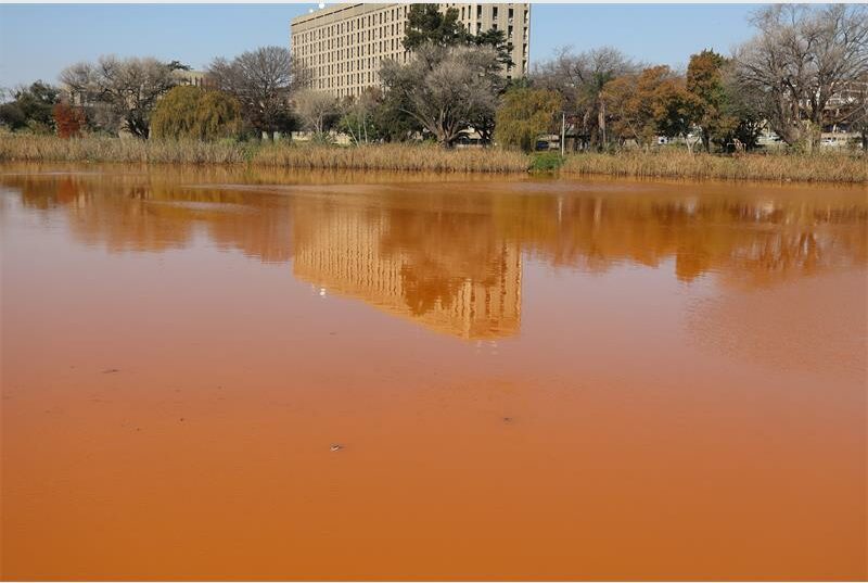 discoloured lake water