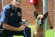 Man in a police uniform kneeling next to a dog