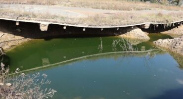 a water-logged sinkhole