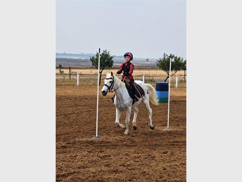 A young rider dressed in red and blue riding a white horse on a course.