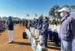 Members of a NPO all dressed in white pants and blue jackets standing in row with food parcels at their feet with one of the members in front of them addressing a crowd on a microphone.