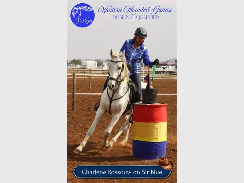 A rider on a white horse navigating a route past a red, yellow and blue barrel.