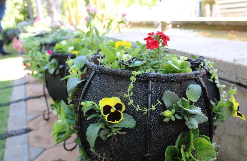Basket adorned with blooming flowers