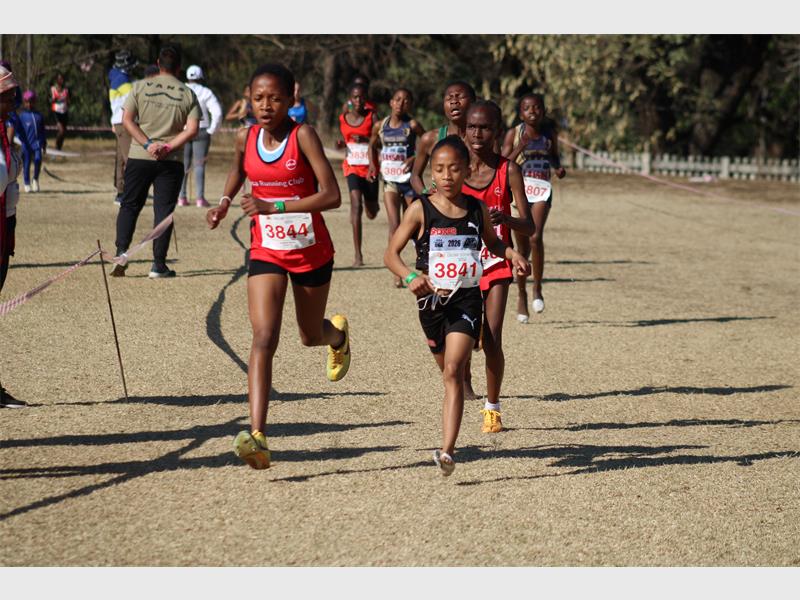 A group of young athletes taking part in a race.