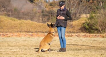 Woman stands with her hands crossed looking at a brown dog