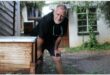 A white man with grey hair and beard wearing a black T-shirt with a pair of reading glasses dangling from his neck bending down with his hands on his knees next to a beehive.