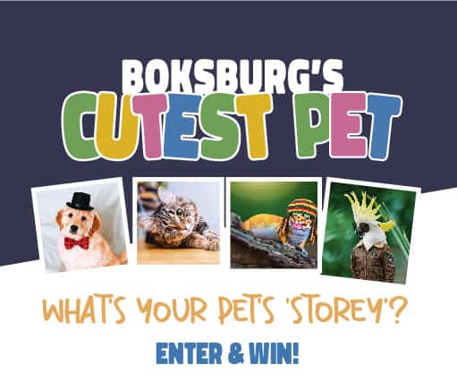 Boksburg’s Cutest Pet