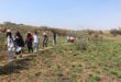 A group of school learners walking Melville Koppies.