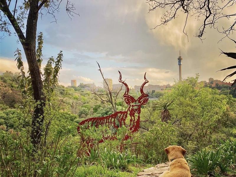 An artwork of a buck made from iron in a bushveld setting.