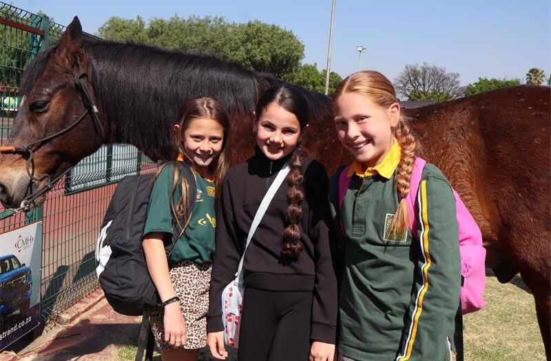 Three girls standing in front of a horse.