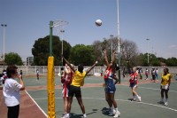 Ekurhuleni Netball Festival, Charl Baard Stadium, October 12