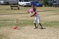 KFC Mini-Cricket Festival at Willowmoore Park, October 17.