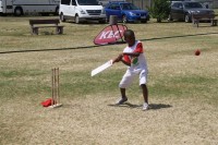 KFC Mini-Cricket Festival at Willowmoore Park, October 17.