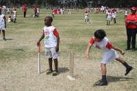 KFC Mini-Cricket Festival at Willowmoore Park, October 17.
