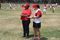 KFC Mini-Cricket Festival at Willowmoore Park, October 17.