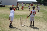 KFC Mini-Cricket Festival at Willowmoore Park, October 17.