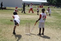 KFC Mini-Cricket Festival at Willowmoore Park, October 17.
