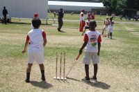 KFC Mini-Cricket Festival at Willowmoore Park, October 17.