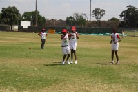 KFC Mini-Cricket Festival at Willowmoore Park, October 17.
