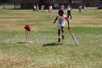 KFC Mini-Cricket Festival at Willowmoore Park, October 17.