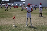 KFC Mini-Cricket Festival at Willowmoore Park, October 17.