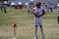 KFC Mini-Cricket Festival at Willowmoore Park, October 17.