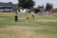 KFC Mini-Cricket Festival at Willowmoore Park, October 17.