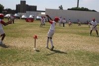 KFC Mini-Cricket Festival at Willowmoore Park, October 17.