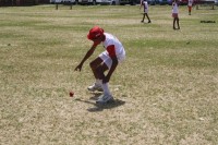 KFC Mini-Cricket Festival at Willowmoore Park, October 17.