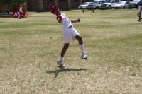 KFC Mini-Cricket Festival at Willowmoore Park, October 17.
