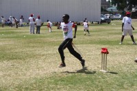 KFC Mini-Cricket Festival at Willowmoore Park, October 17.