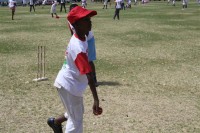 KFC Mini-Cricket Festival at Willowmoore Park, October 17.